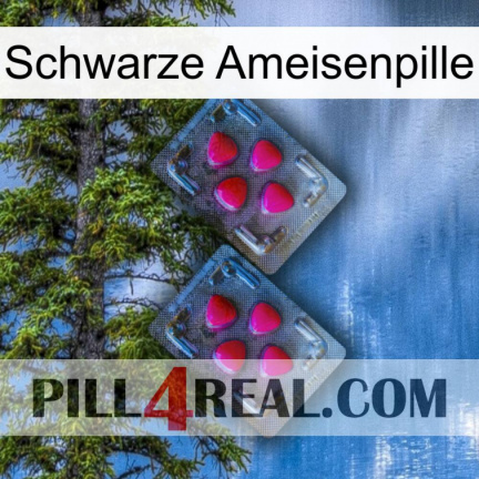 Black Ant Pill 14